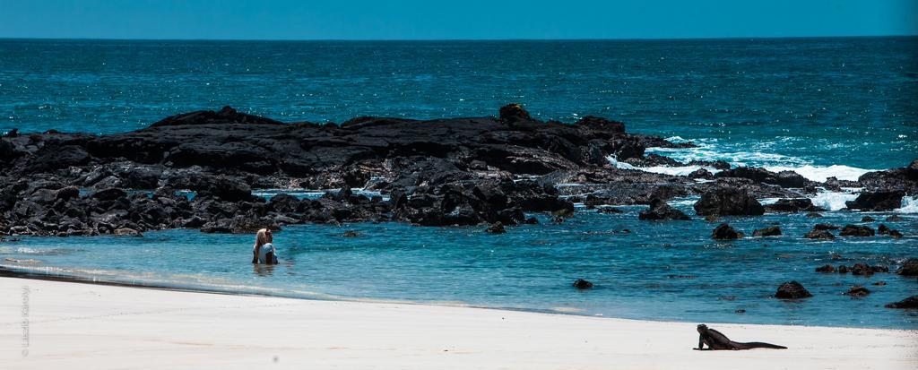 Iguana Crossing Boutique Hotel Puerto Villamil Buitenkant foto